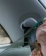Filename=vlcsnap-144521.png
Filesize=247KiB
Dimensions=576x240
Date added=Jan 19, 2008 vlcsnap-144521.png
