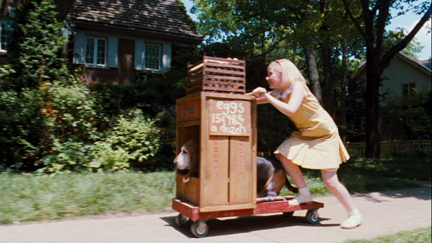 vlcsnap-1296271.png vlcsnap-1296271.png